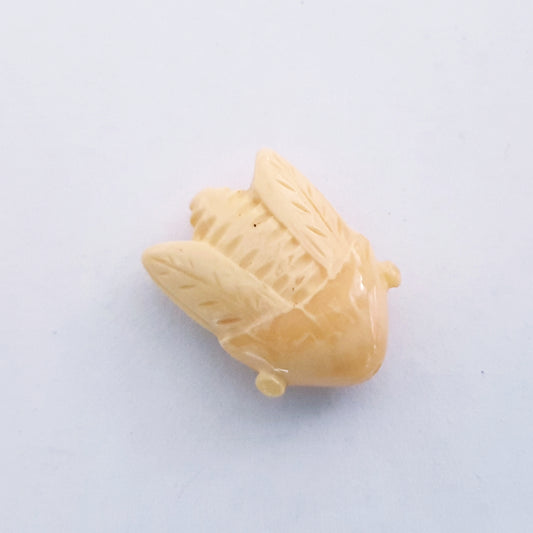 Celluloid Cicada 20x15mm Cream