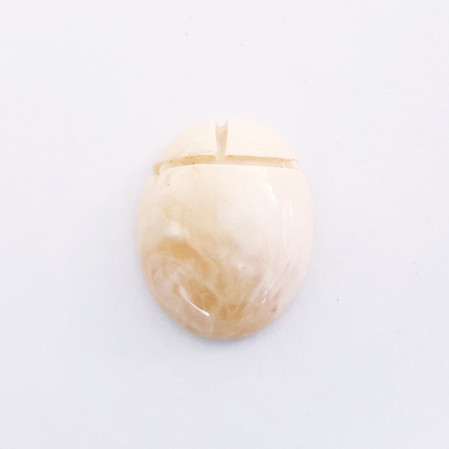 Flatback Celluloid Scarab Beetle 25x20mm Cream
