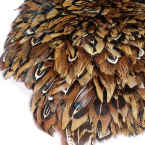 Feather Pheasant Tiger