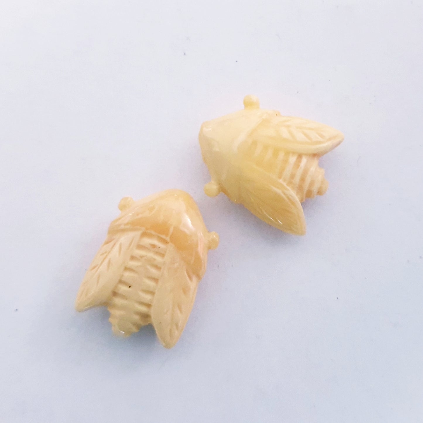 Celluloid Cicada 20x15mm Cream