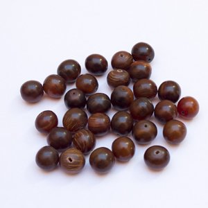 Horn 16mm Round Brown