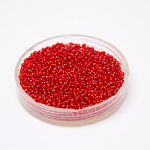 11 0 Red Silver Lined Czech Seed Bead